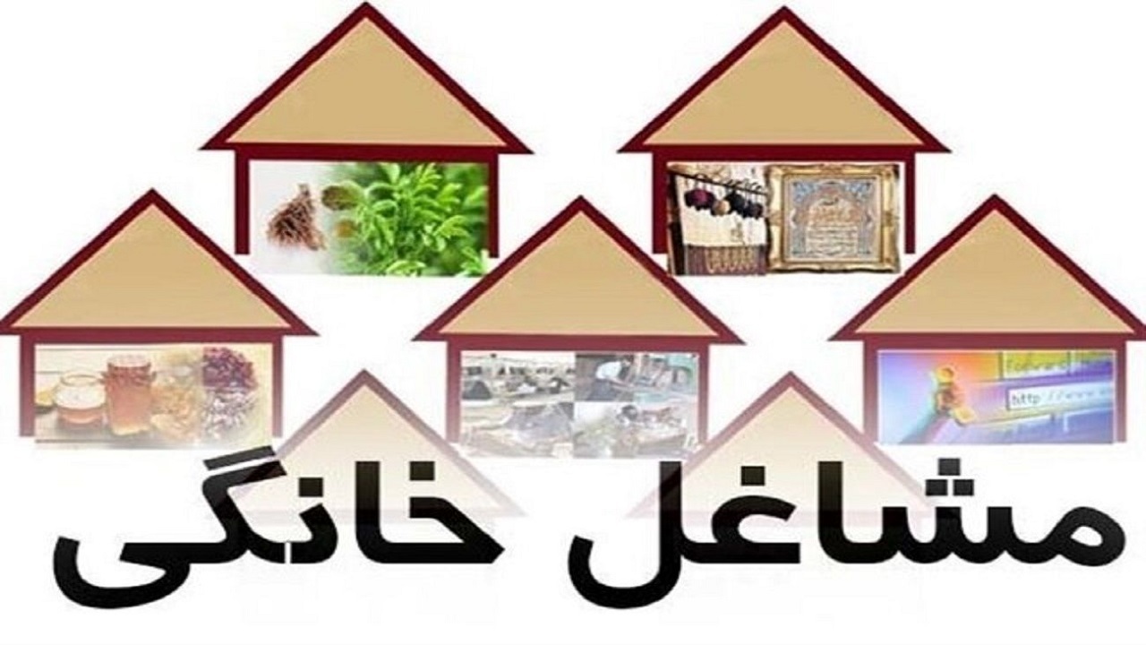 ۱۶۰ میلیارد تومان به مشاغل خانگی استان همدان اختصاص یافت